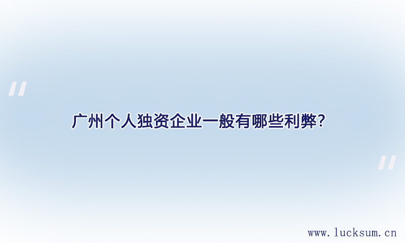 个人独资企业一般有哪些利弊？